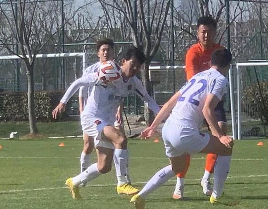 米椰子树